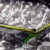 Lunettes  personnalisées R.Planchat