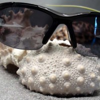 Lunettes sports
