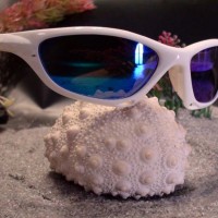Lunettes sports