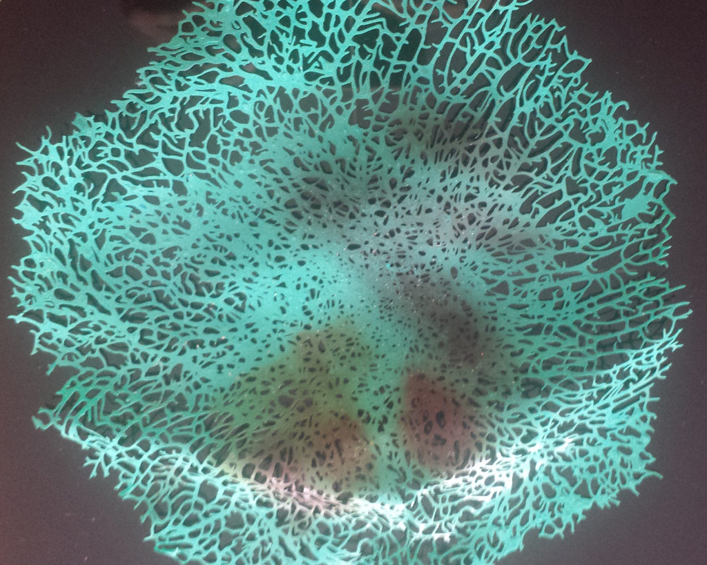 UMR-DESiGN AS-345 Pinup, Girl Step By Step Schablone Für Acryl